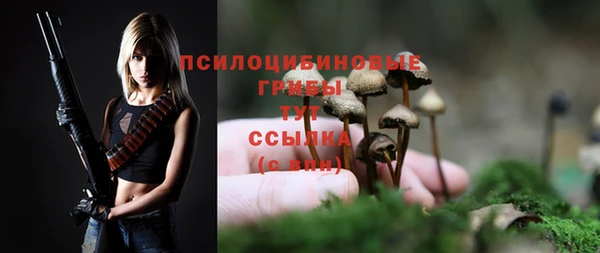 ALPHA PVP Абдулино
