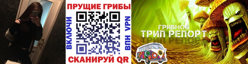 Псилоцибиновые грибы Psilocybe  наркота  Тверь 